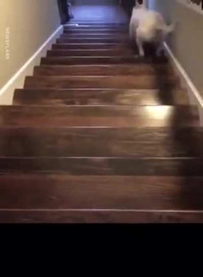 Hey!