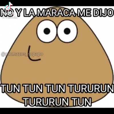 Noooo pou que hiciste