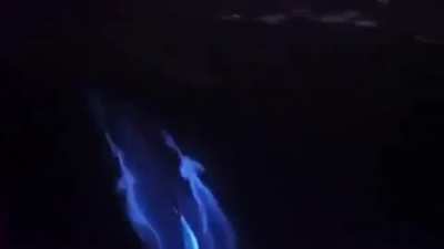 🔥 Magical view of dolphins glow in bioluminescence ocean