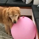 Pilates