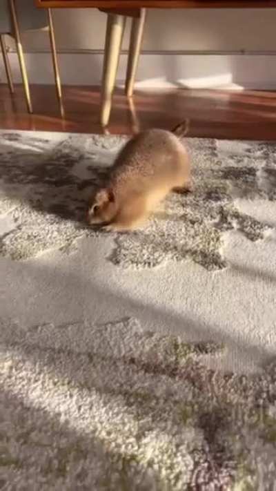 Morning exercise
