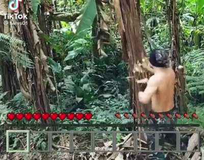 Saw this on TikTok, so I had to a little bit of editing and greenscreening.
