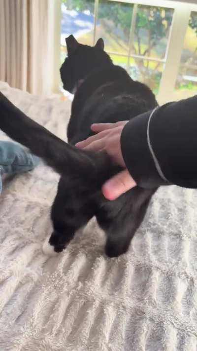 More Onyx
