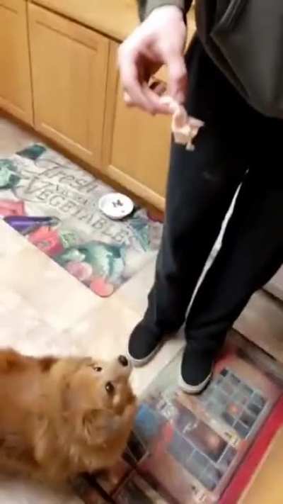 Nom nom nom