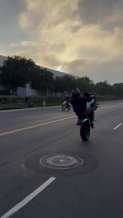 07 whoolie