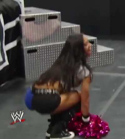 AJ Lee 