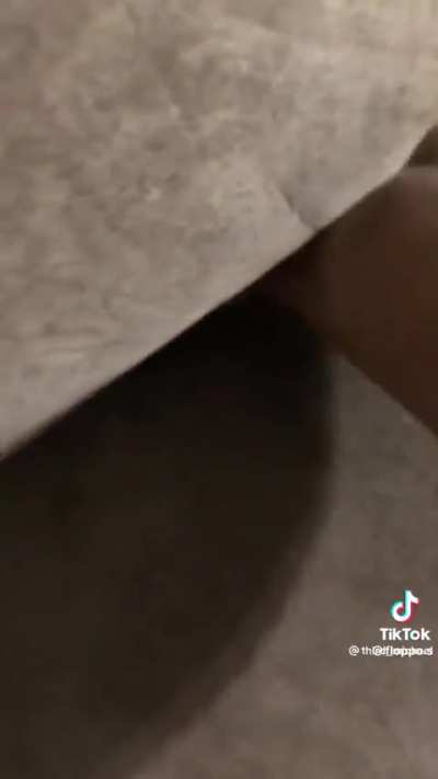 Quando da piccolo cercavi le cose sotto al divano 