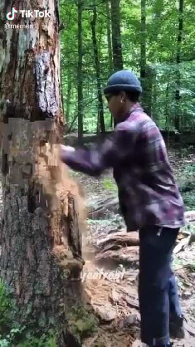 Who is gettin the wood first?