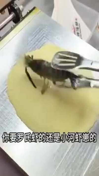‎ ‎ ‎ ‎ ‎ ‎ ‎ ‎ ‎ ‎ ‎ ‎ ‎ ‎ ‎ ‎
