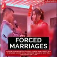 The Plight of Uyghur Muslims - A brief view of what's happening to Uyghur Muslims. Concentration Camps | Islam Banned | Ramadan Banned | Stolen Generation | Forced Marriages | Mosques Demolished | Hijab Banned