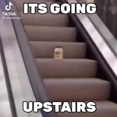 Memes are degrading from stupid to 