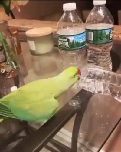 He feels very accomplished