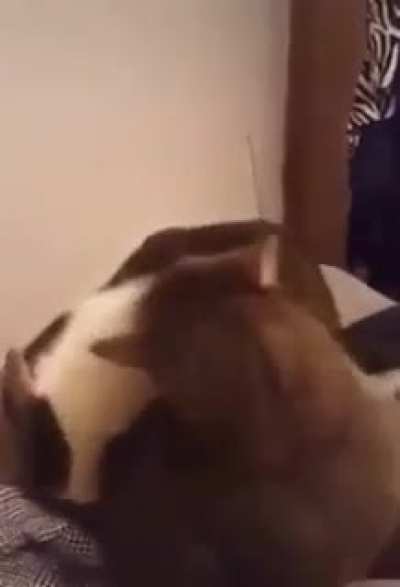 Big Monch