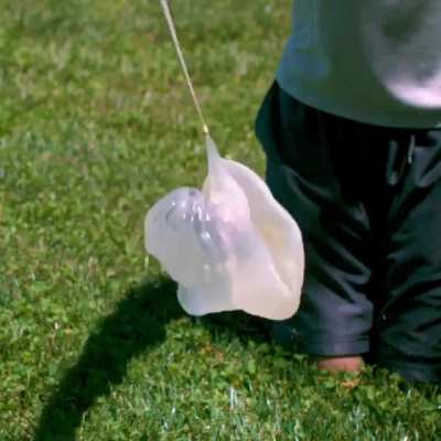 Baseball vs. Balloon