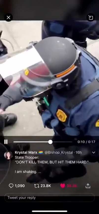 Cops at a Seattle protest.