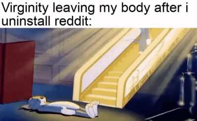 dont worry my homies, i wont leave reddit.