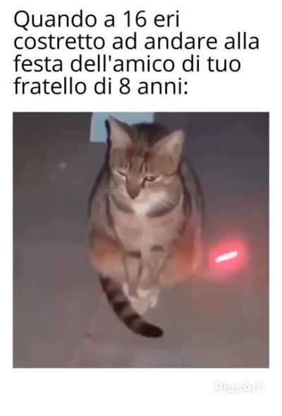 Com'è?
