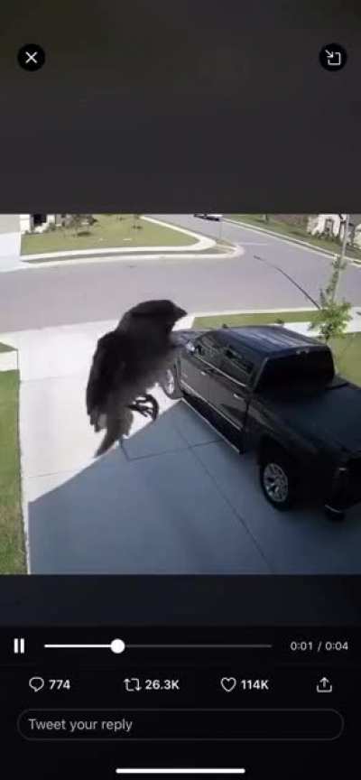Cool yet terrifying