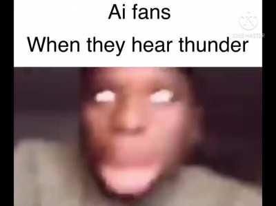 I made a meme of different fans in the series~