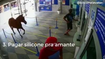 Top investimentos família 🇧🇷👍😎👈