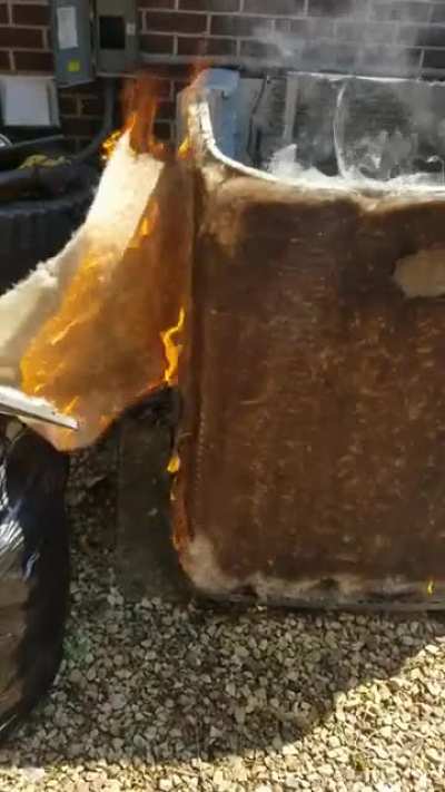 Perfectly cut OH SHIT!