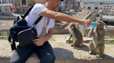 You have been chosen by monke.