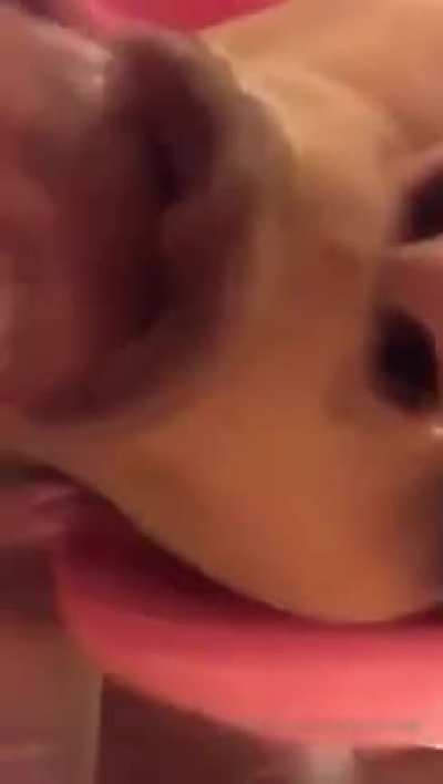 Bj Kakey