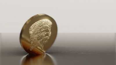 In dedication to the dogecoin craze.