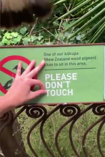 Please Mind the Signs