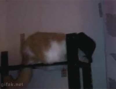Smooth criminal