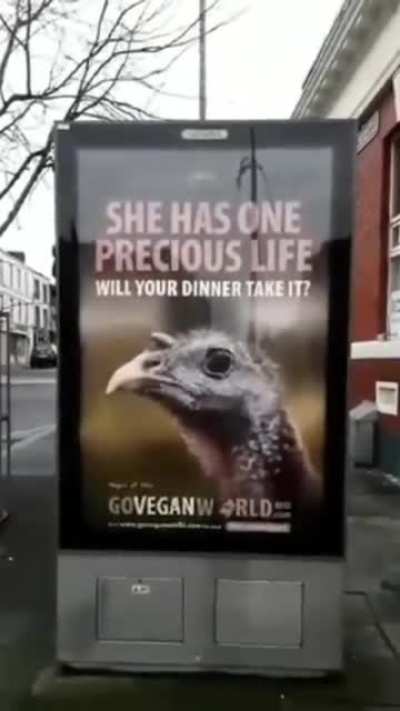 Conflicting adds