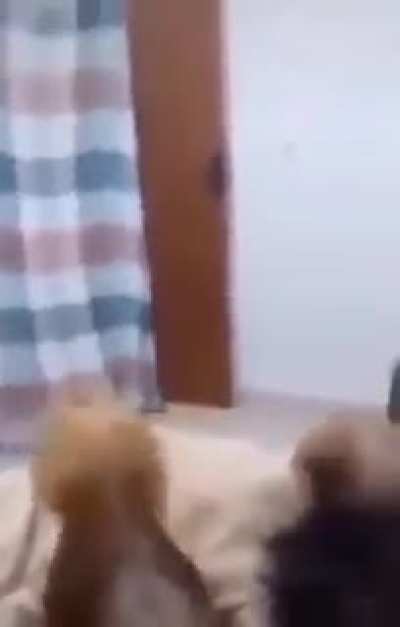 ué kkkkkkk
