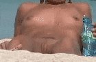Fuck you bird