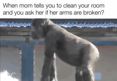 Don’t do it, momma will wreck you