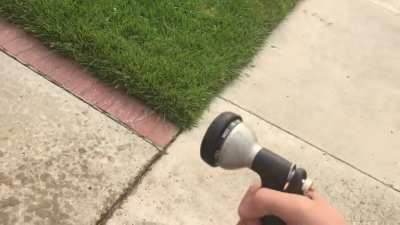 Perfectly cut hose