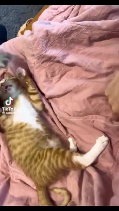 The owner set him up for failure
