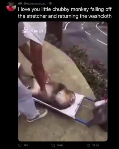 expert paramedics