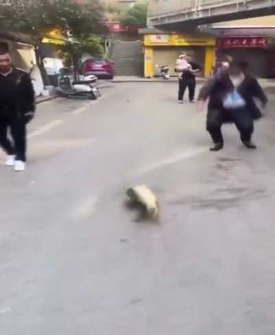 flopcore.mp4