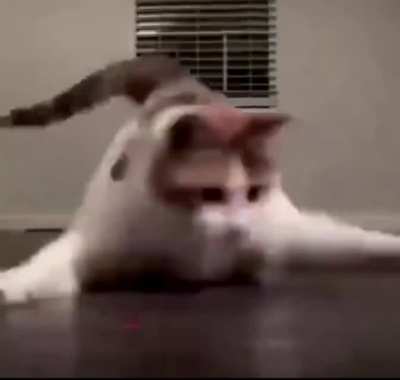 run