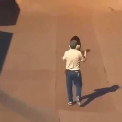 Pro Skater Peru 2