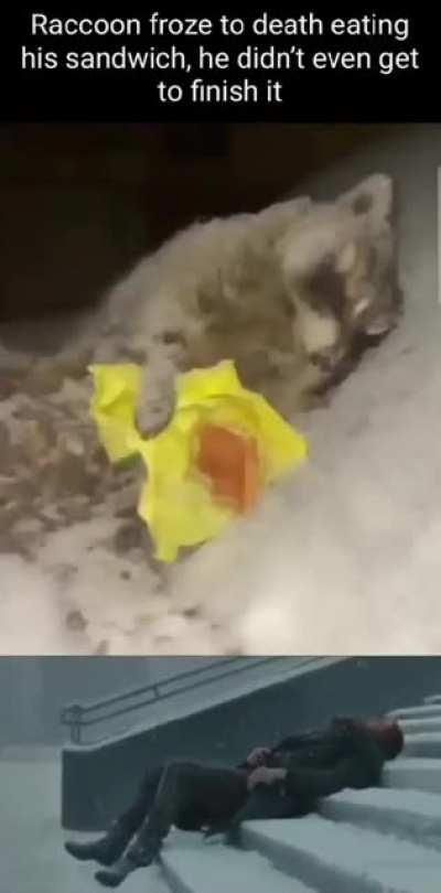 Pay respects to a fallen man.