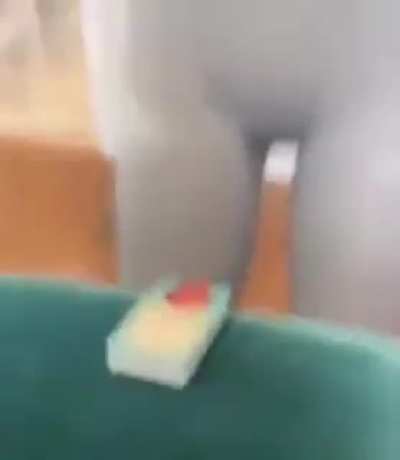 Neat card trick.