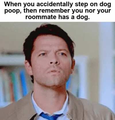 Dawg Poop