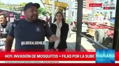 LOS ACTORES DE K5N AHORA SIMULAN PELEAS CON LOS NOTEROS: Pusieron a un ACTOR simulando ser del interior, culpando a los medios de haber puesto a Milei de presidente. Cuando en realidad estos no lo pararon de operar.
