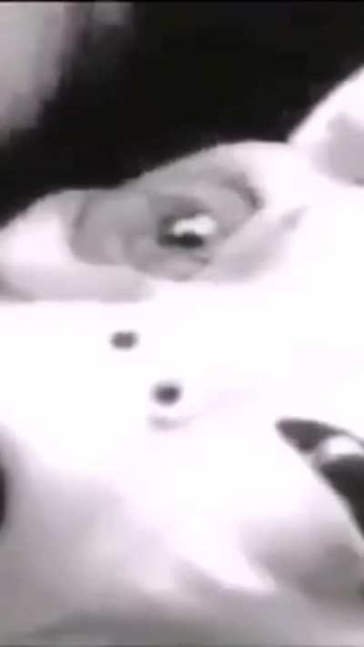To the person that said Grey's black eyes are just 