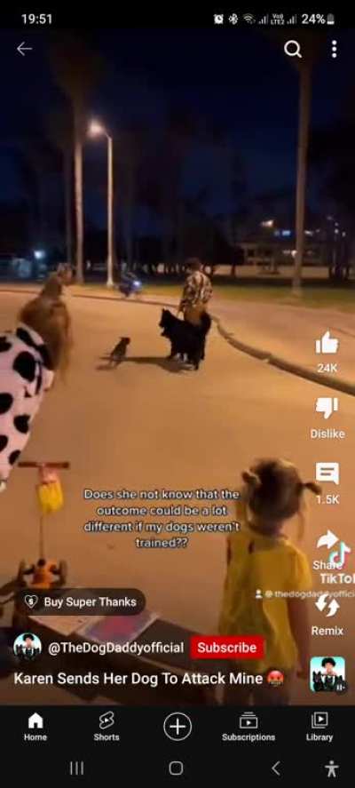 Karen lets her dog attack a man and his two dogs because she hates the breed