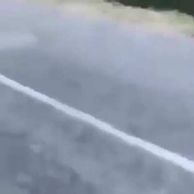 ._.