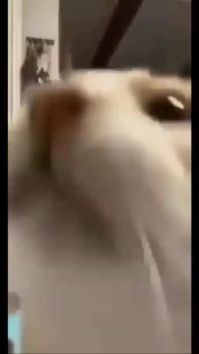 deltaruj