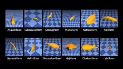 Fish movement