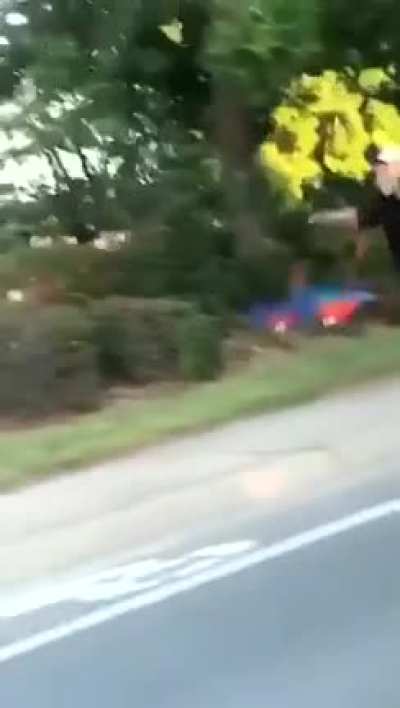 Blursed pet walking